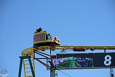 Crazy Mouse