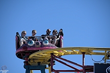 Crazy Mouse