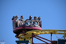 Crazy Mouse