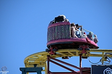Crazy Mouse