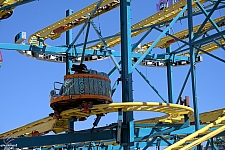 Crazy Mouse