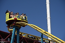 Crazy Mouse