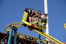 Crazy Mouse