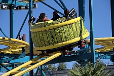 Crazy Mouse