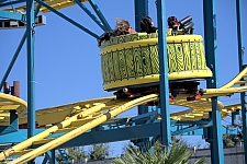 Crazy Mouse