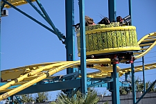 Crazy Mouse