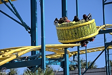 Crazy Mouse