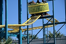 Crazy Mouse
