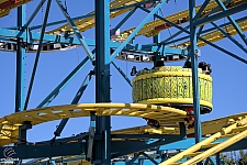 Crazy Mouse