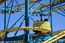 Crazy Mouse