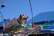 Puppy Express