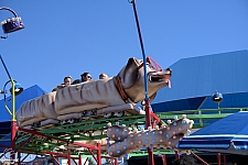 Puppy Express