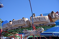 Puppy Express