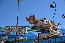 Puppy Express