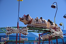Puppy Express