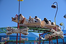 Puppy Express