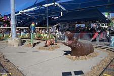 Safari Train