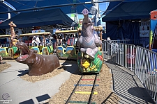 Safari Train