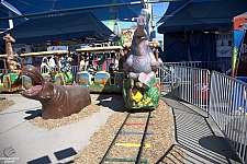 Safari Train