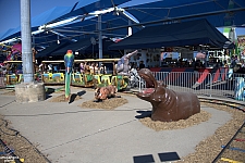 Safari Train