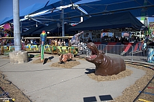Safari Train