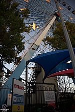 Texas Star