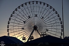 Texas Star