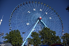 Texas Star