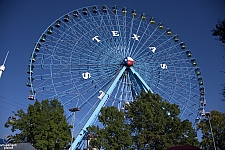 Texas Star