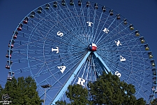 Texas Star