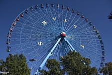 Texas Star