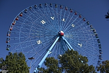 Texas Star