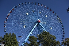 Texas Star