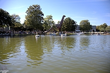 Swan Boats