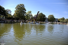 Swan Boats