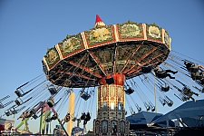 Wave Swinger