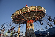 Wave Swinger