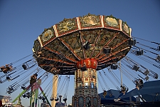 Wave Swinger