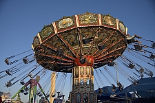 Wave Swinger