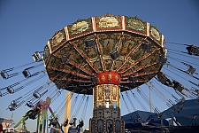 Wave Swinger