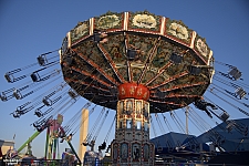 Wave Swinger