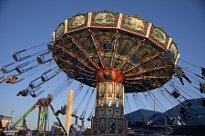 Wave Swinger