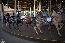 Dentzel Carousel