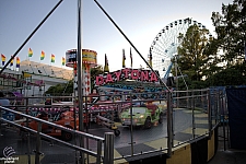Daytona