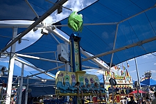Frog Hopper