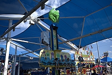 Frog Hopper