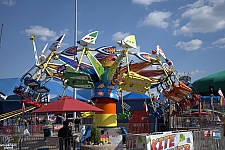 Kite Flyer