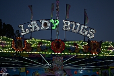 Lady Bugs