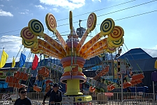 Lolli Swing