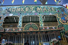 Monkey Maze